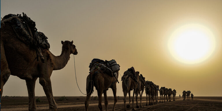 3-day Danakil tour