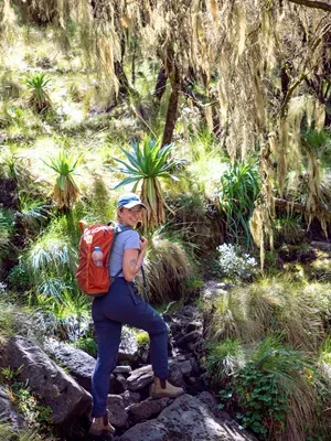 Lucy Ethiopia Tours Simien Mountains