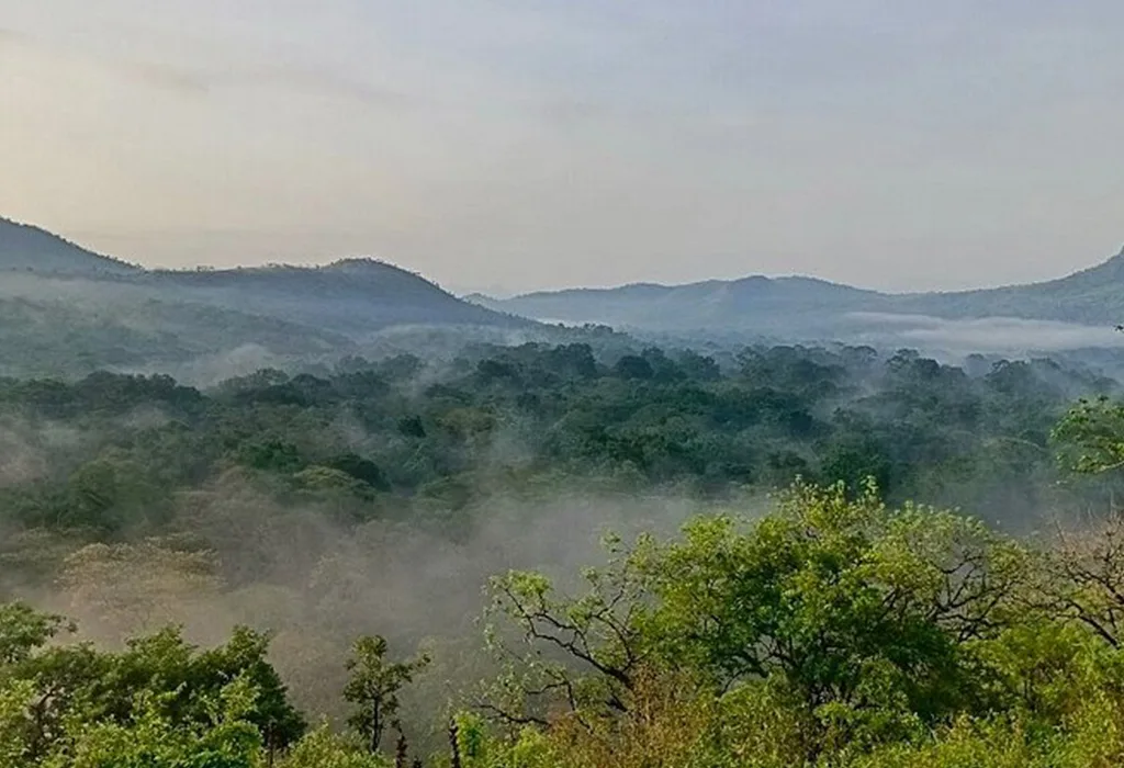 wildlife safari to chebera churchura