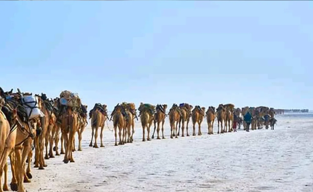 Discover Ethiopia’s Prehistoric Wonders
