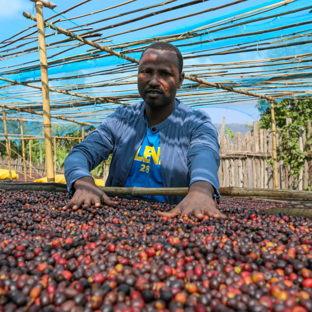 Ethiopia