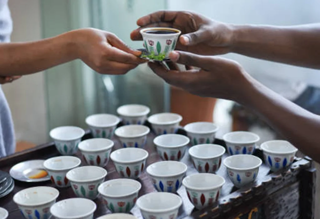Full-Day Ethiopian Coffee Tour