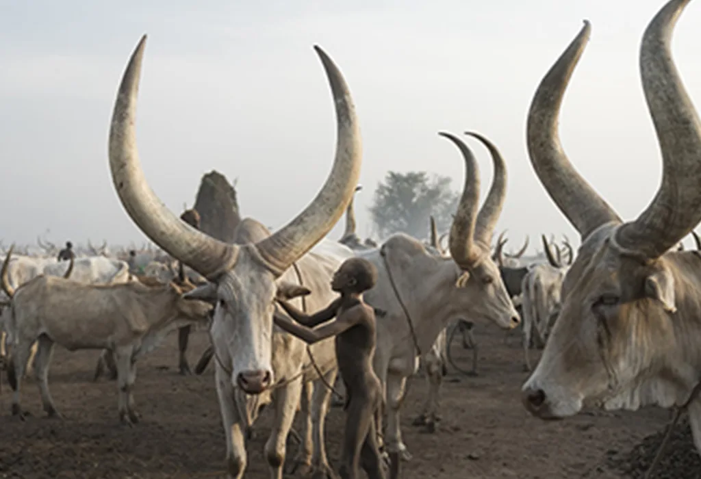 Sudan