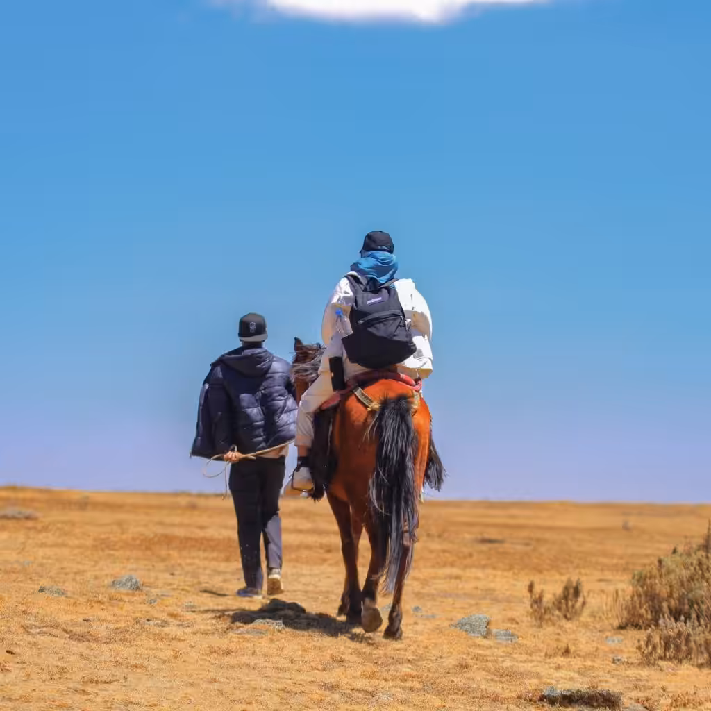 Trekking and Hiking