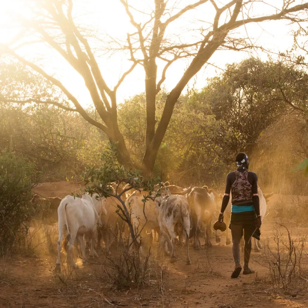 Championing Cultural Preservation. Meet our Tribal Partners.